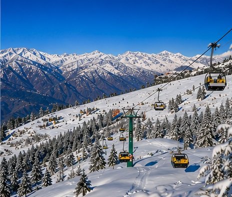 Auli